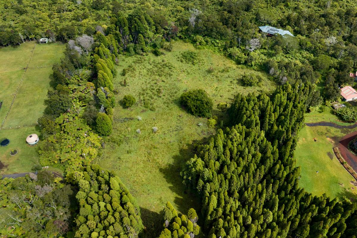 19-4370 Ainahau Road Volcano, HI 96785 - Photo 26 of 30 Gallery Image 26