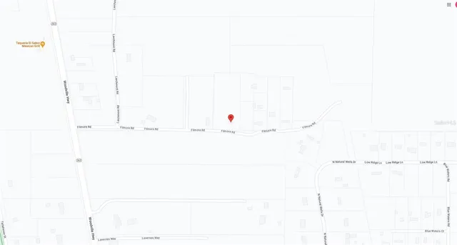 a view of a lush green forest with lots of trees