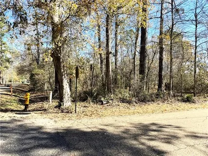 $220,000 | 551 Colbert (bayou Corner)lots 36 Street, Mandeville, LA 70448