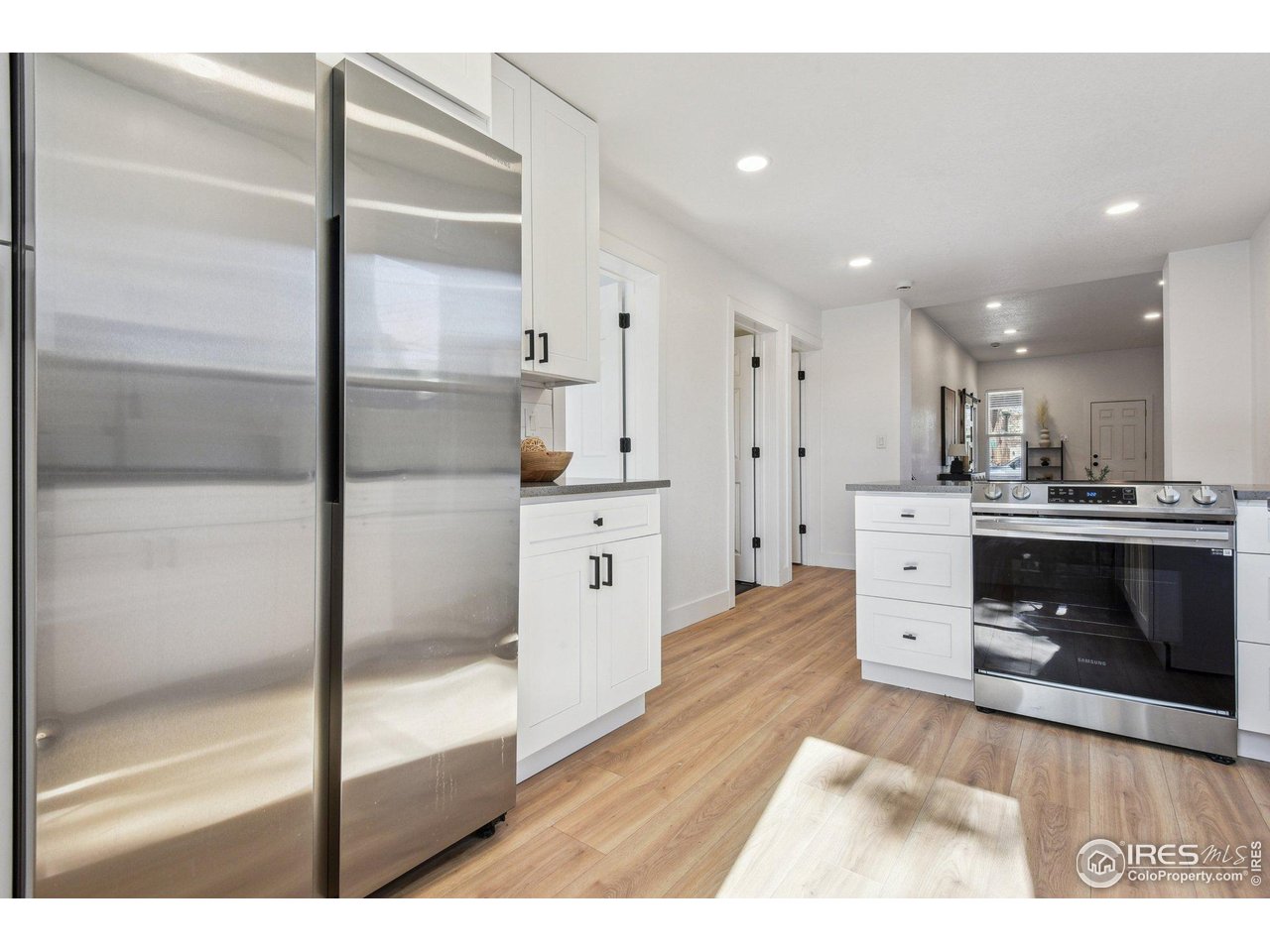 717 Inca Street Denver, CO 80204 - Photo 11 of 21 Gallery Image 11