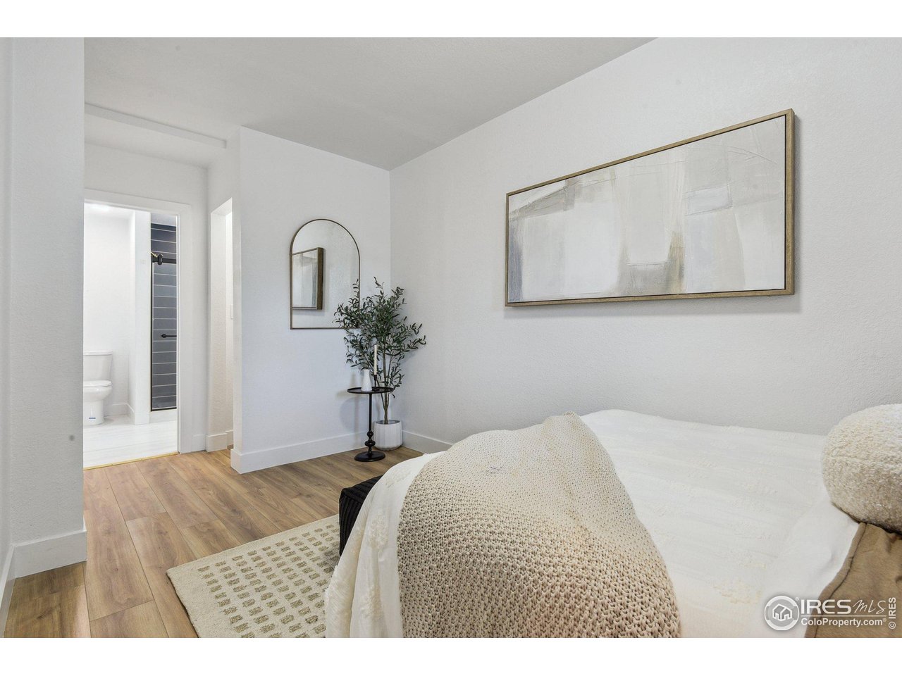 717 Inca Street Denver, CO 80204 - Photo 12 of 21 Gallery Image 12