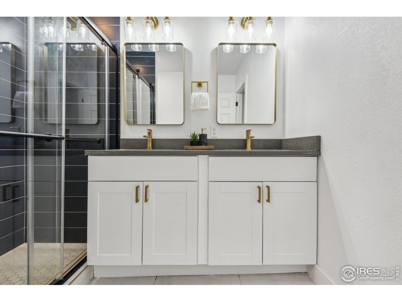 717 Inca Street Denver, CO 80204 - Photo 15 of 21 Gallery Image 15
