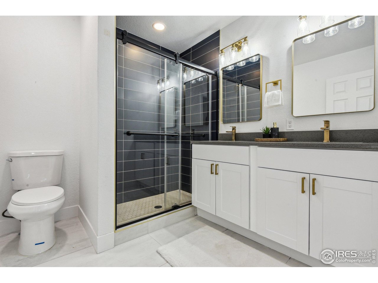 717 Inca Street Denver, CO 80204 - Photo 16 of 21 Gallery Image 16