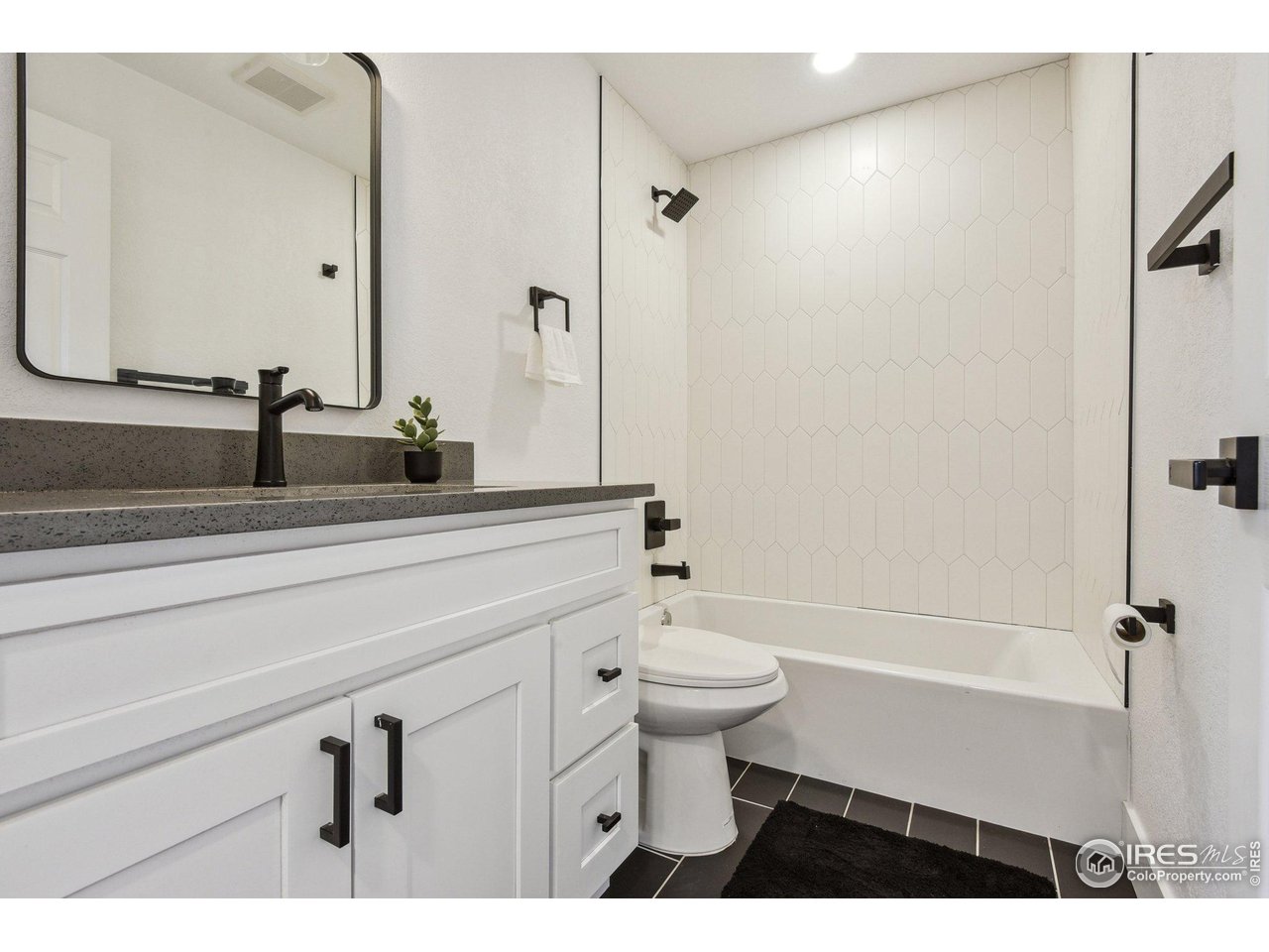 717 Inca Street Denver, CO 80204 - Photo 17 of 21 Gallery Image 17