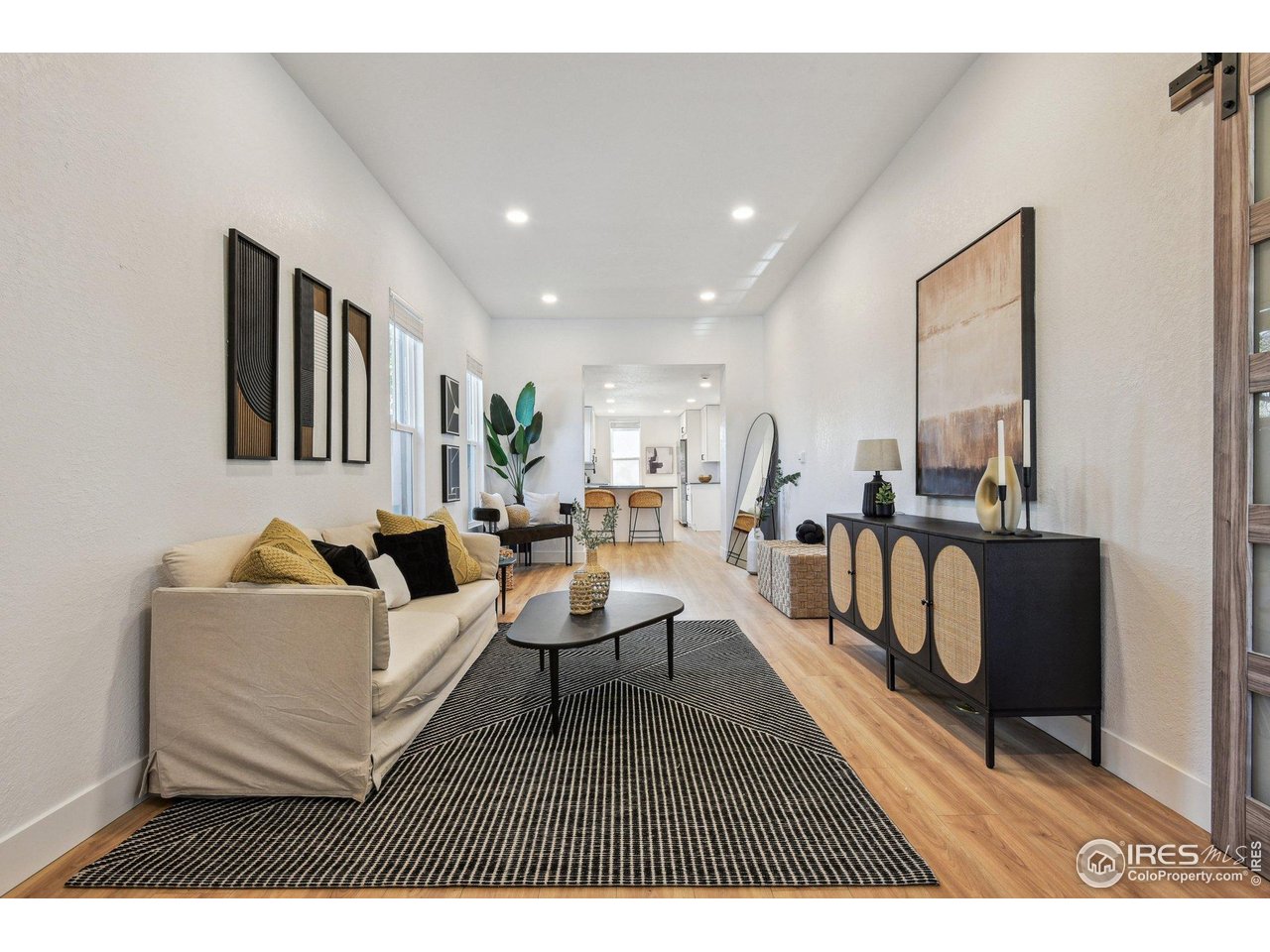 717 Inca Street Denver, CO 80204 - Photo 2 of 21 Gallery Image 2