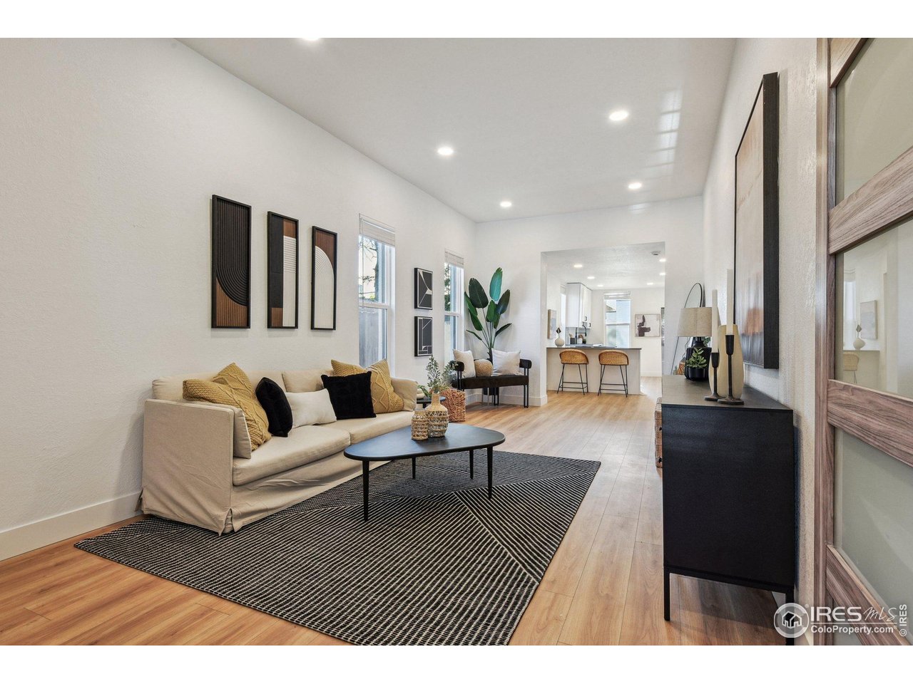717 Inca Street Denver, CO 80204 - Photo 3 of 21 Gallery Image 3