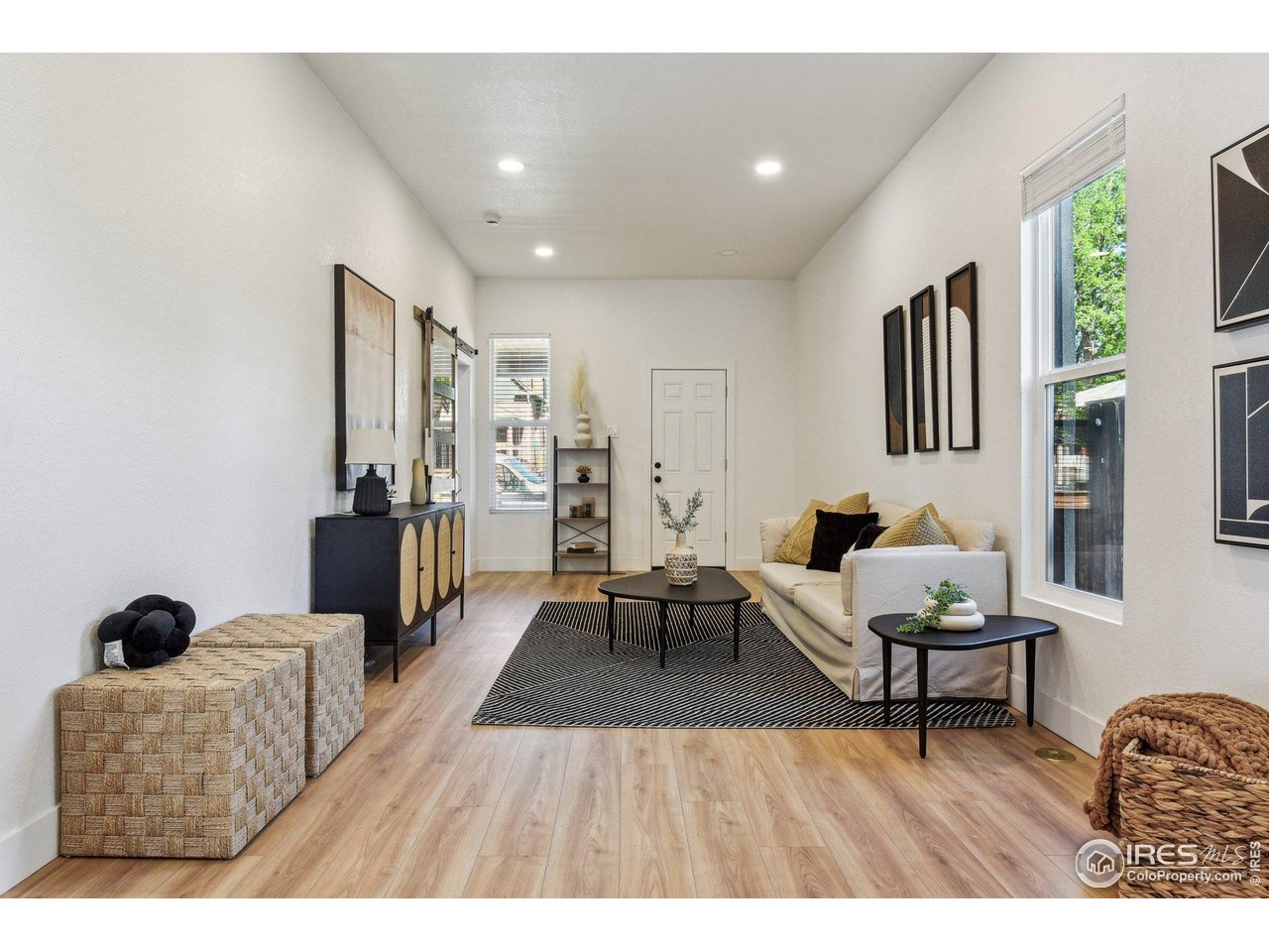717 Inca Street Denver, CO 80204 - Photo 4 of 21 Gallery Image 4