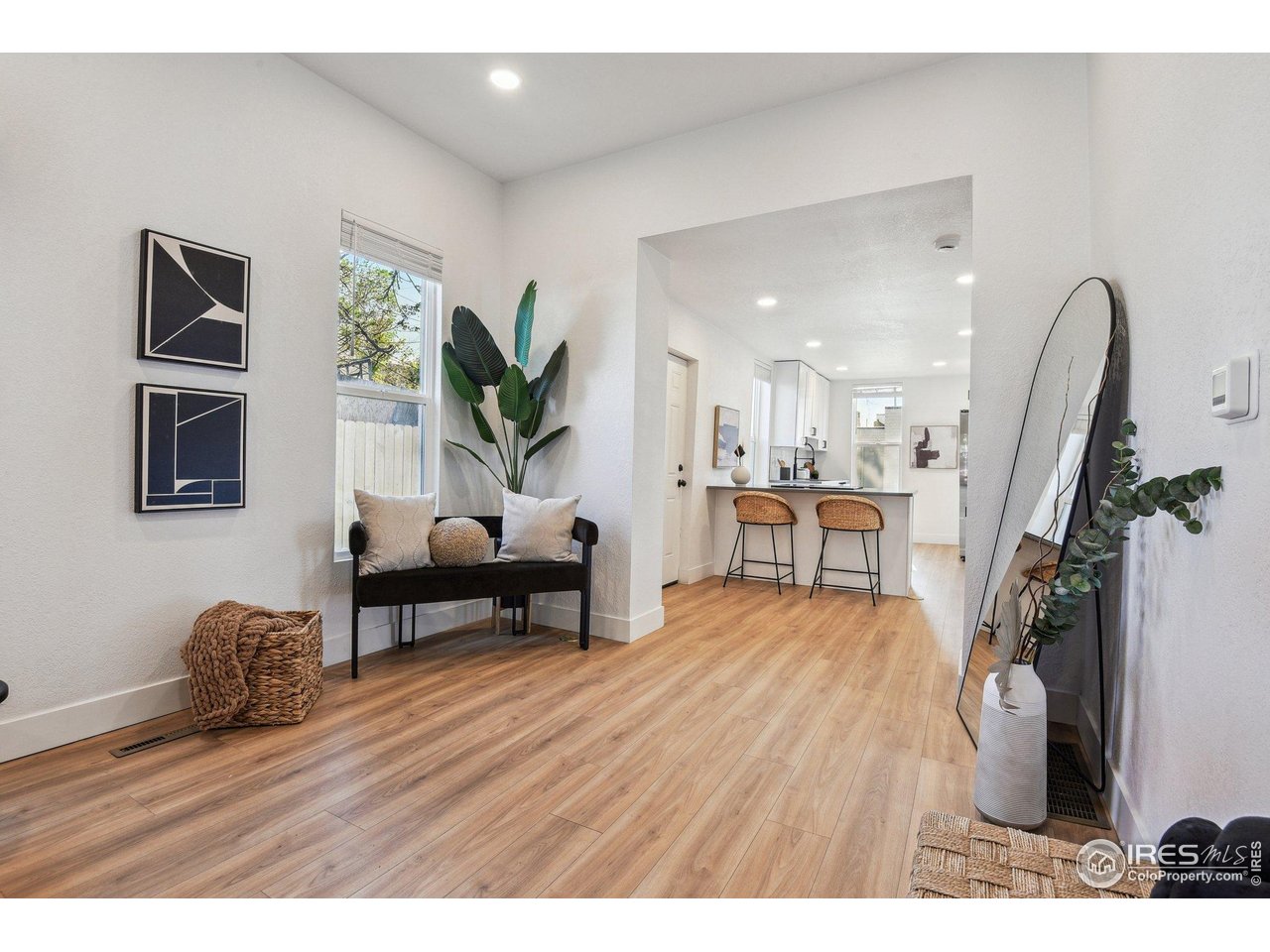 717 Inca Street Denver, CO 80204 - Photo 6 of 21 Gallery Image 6