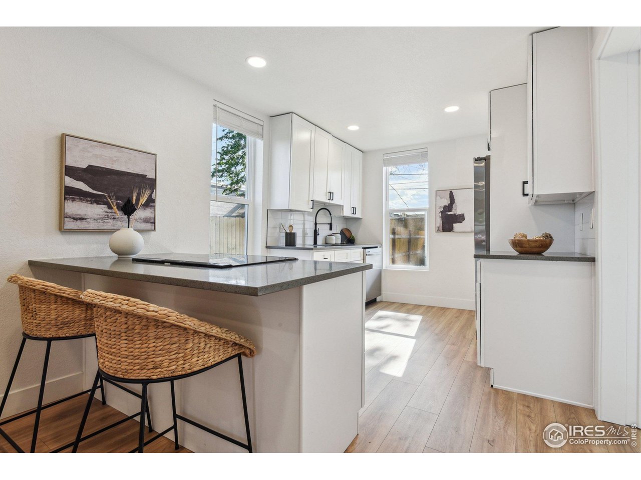 717 Inca Street Denver, CO 80204 - Photo 7 of 21 Gallery Image 7