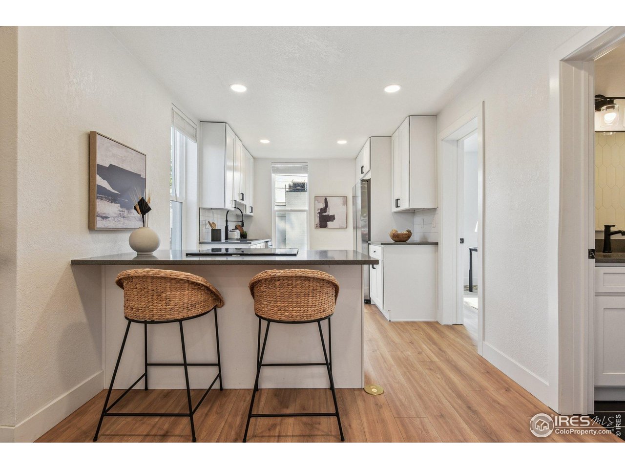 717 Inca Street Denver, CO 80204 - Photo 8 of 21 Gallery Image 8