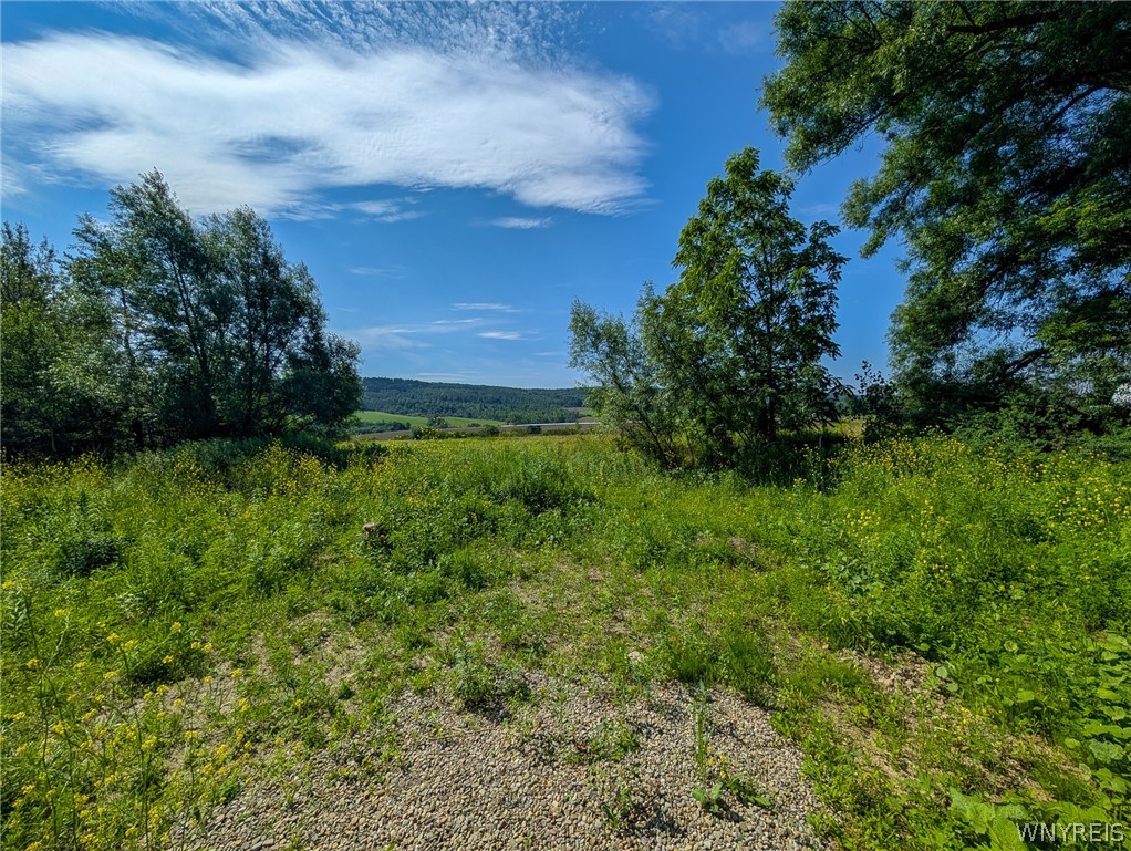 8947 County Road 3 Freedom, NY 14065 - Photo 9 of 19
