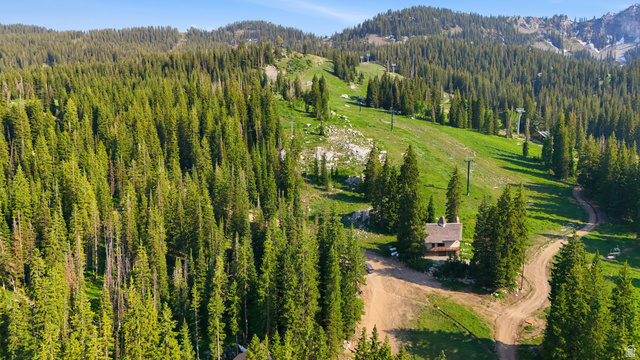 8505 South Snake Crk Road Salt Lake City, UT 84121 - Photo 58 of 67 Mountain cabin featuring a wood exterior and a covered deck, surrounded by extensive evergreen forests