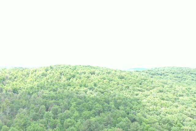 624 County Road Fremont Center, NY 12736 - Photo 5 of 40