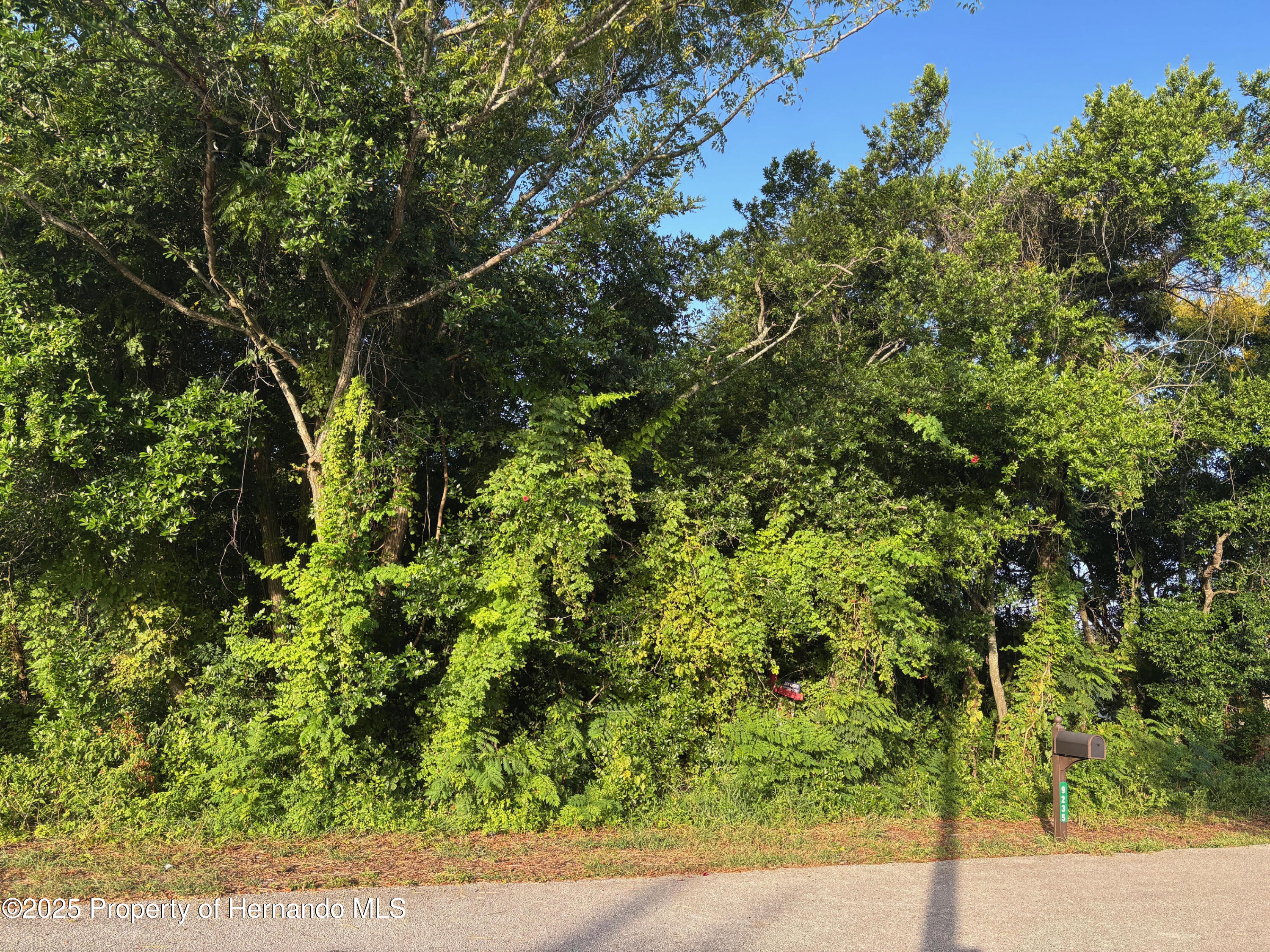 Lot 5 Manchester Street Spring Hill, FL 34607 - Photo 2 of 6