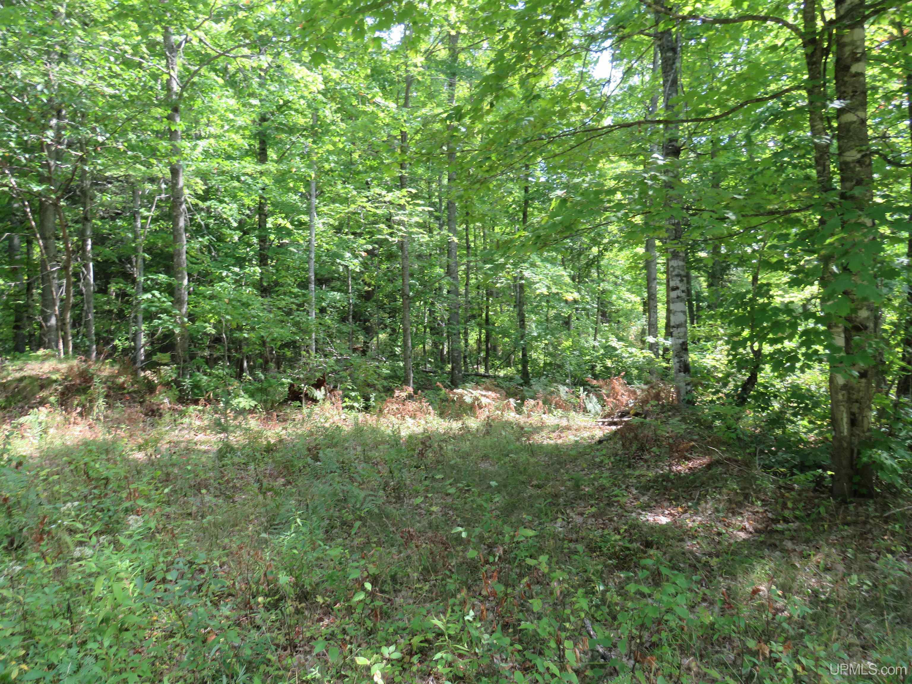 Tbd Black Creek Road Skanee, MI 49962 - Photo 4 of 14