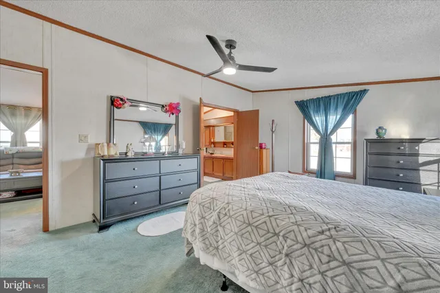 a bedroom with a bed and dresser with mirror