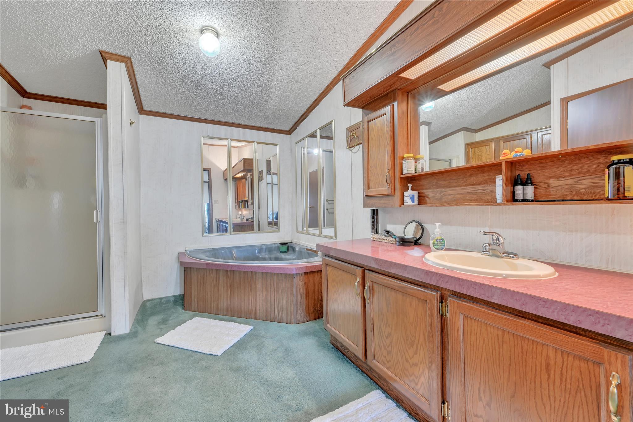 362 West Cedar Street Palmyra, PA 17078 - Photo 17 of 29 a bathroom with a sink and a mirror