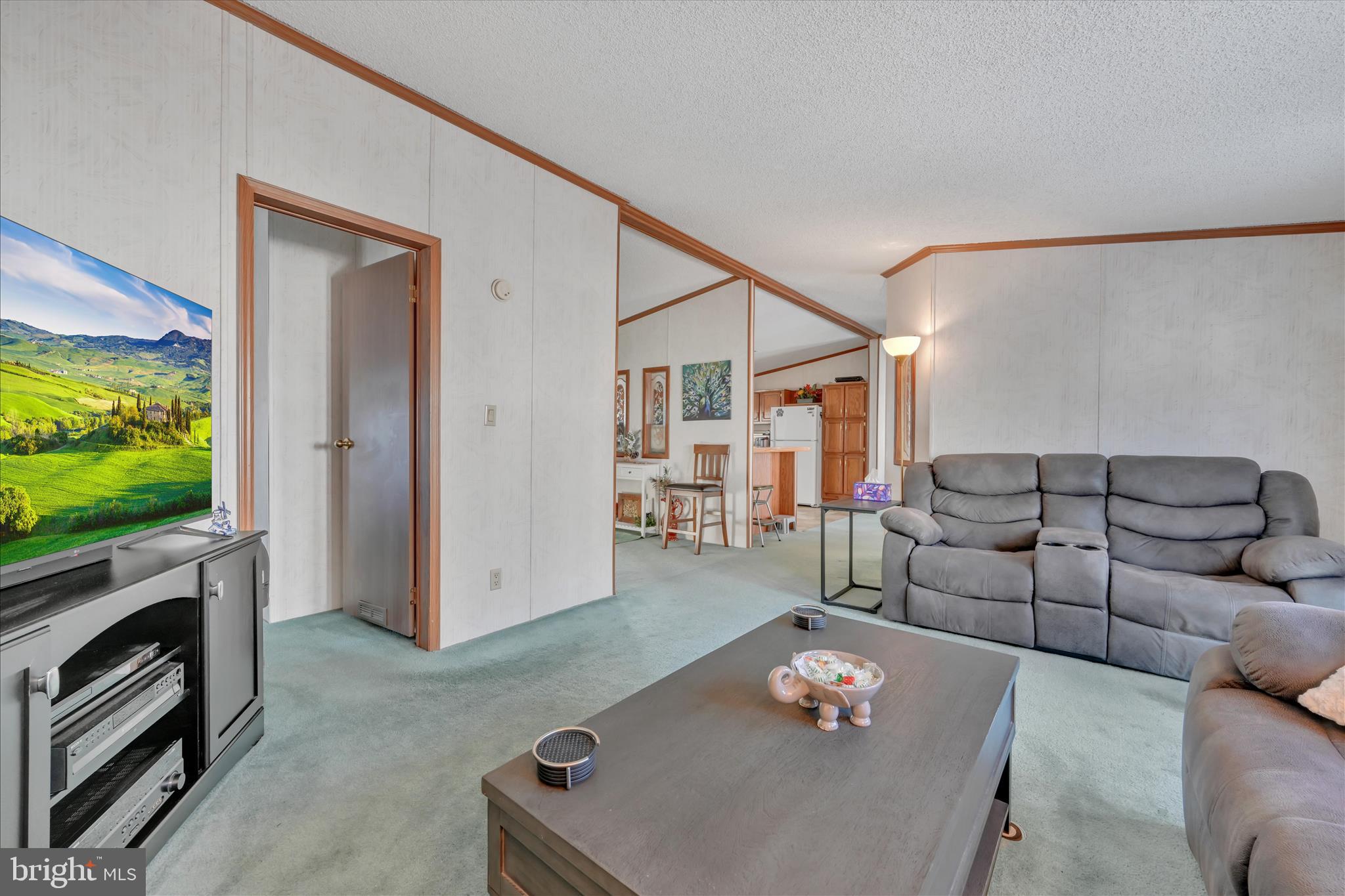 362 West Cedar Street Palmyra, PA 17078 - Photo 5 of 29 a living room with furniture and a flat screen tv