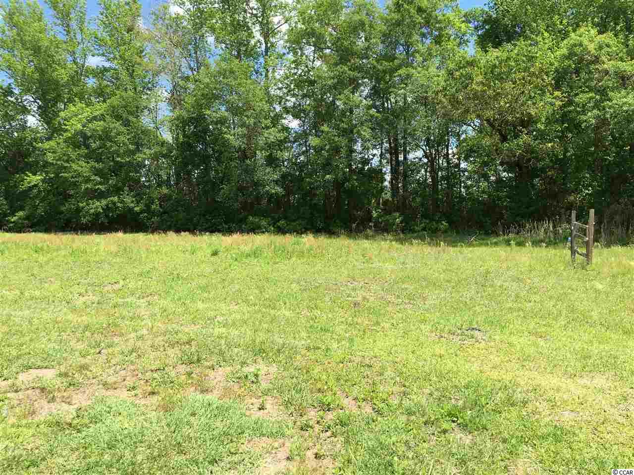 856 Broken Branch Road Johnsonville, SC 29555 - Photo 15 of 16