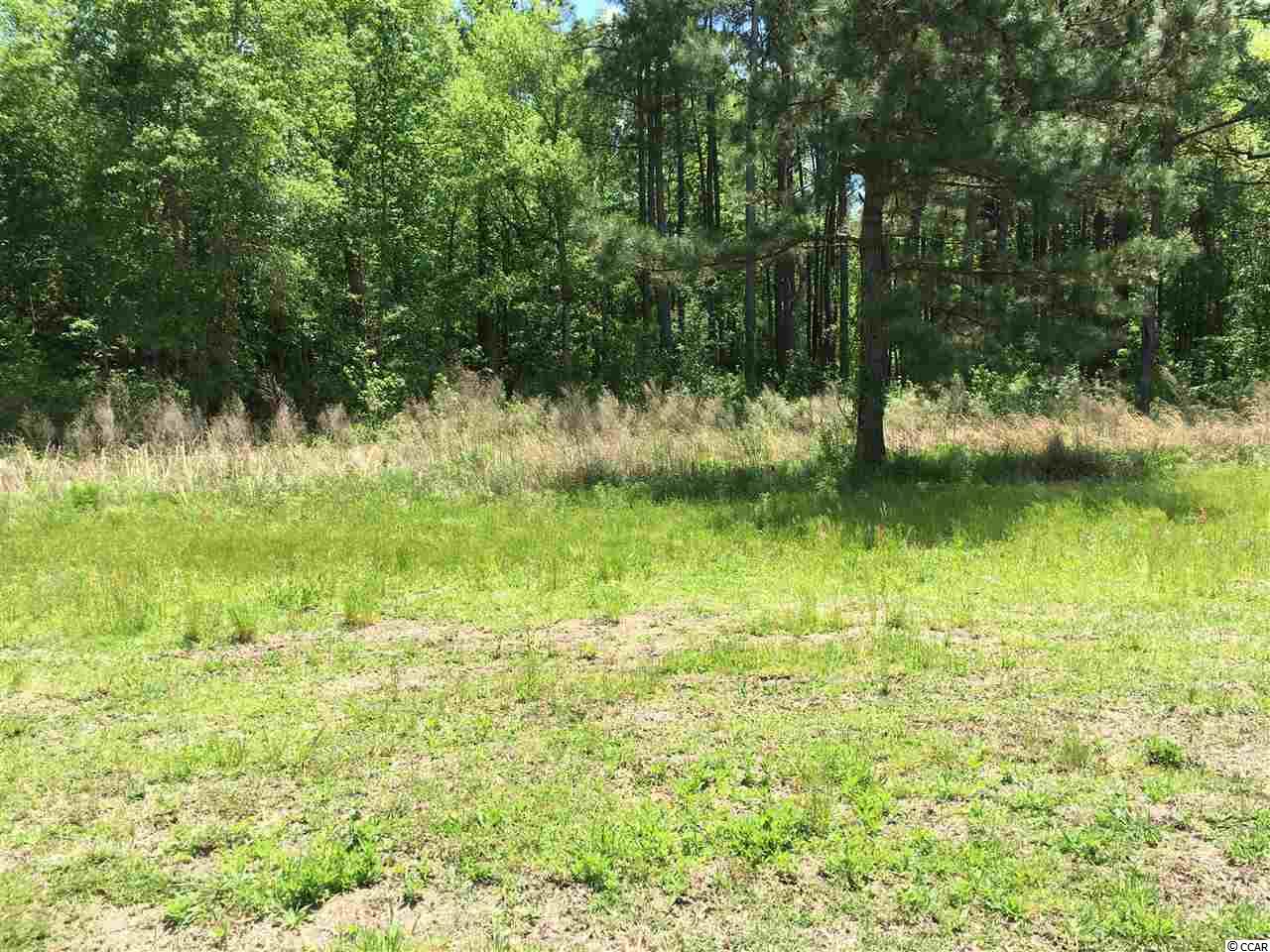 856 Broken Branch Road Johnsonville, SC 29555 - Photo 16 of 16
