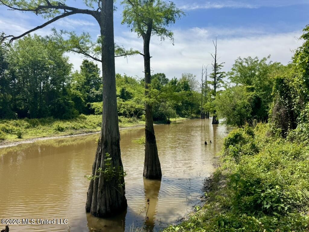 1 Highway 3 Lambert, MS 38643 - Photo 48 of 102 4F2F1211-4714-4882-A384-912819095A3C_1_1