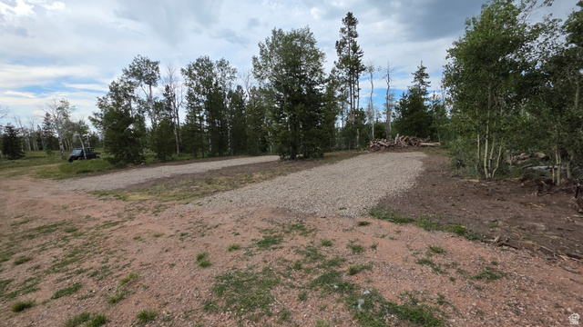 38 Spruce, Unit 38A Evanston, UT 82930 - Photo 11 of 15 Gravel driveways and clearings amidst natural tree coverage