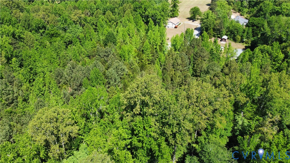 Tbd Pen Road Buffalo Junction, VA 24529 - Photo 1 of 7 a view of a lush green forest with lots of trees