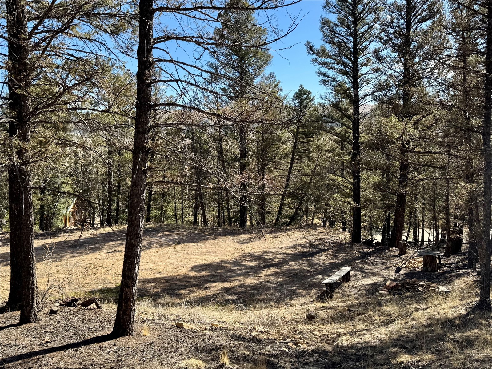 2403 Redhill Road Fairplay, CO 80440 - Photo 17 of 18 a view of outdoor space with trees
