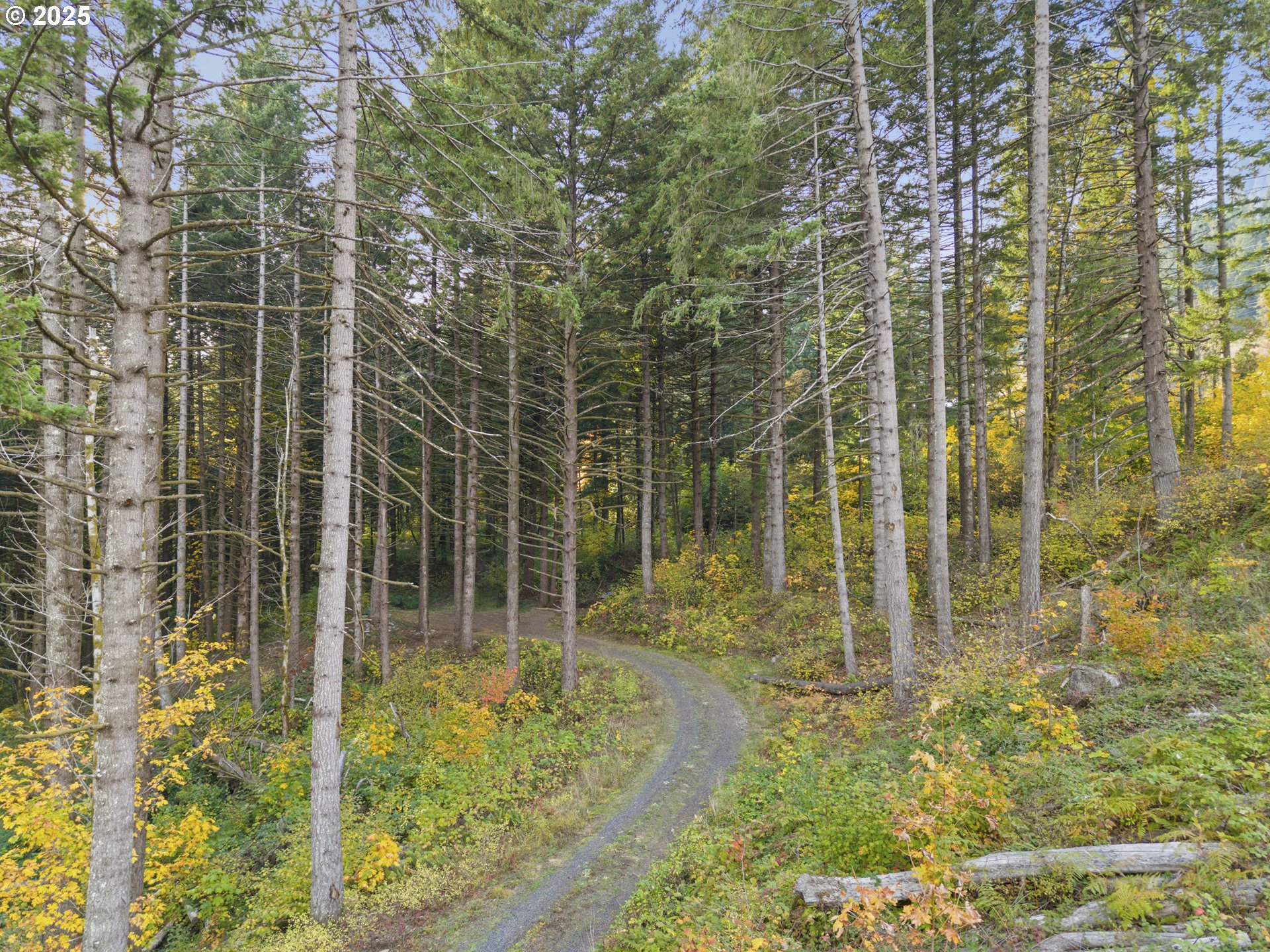 Warren Road, Unit 4 North Bonneville, WA 98639 - Photo 11 of 27 a view of bathroom with shower