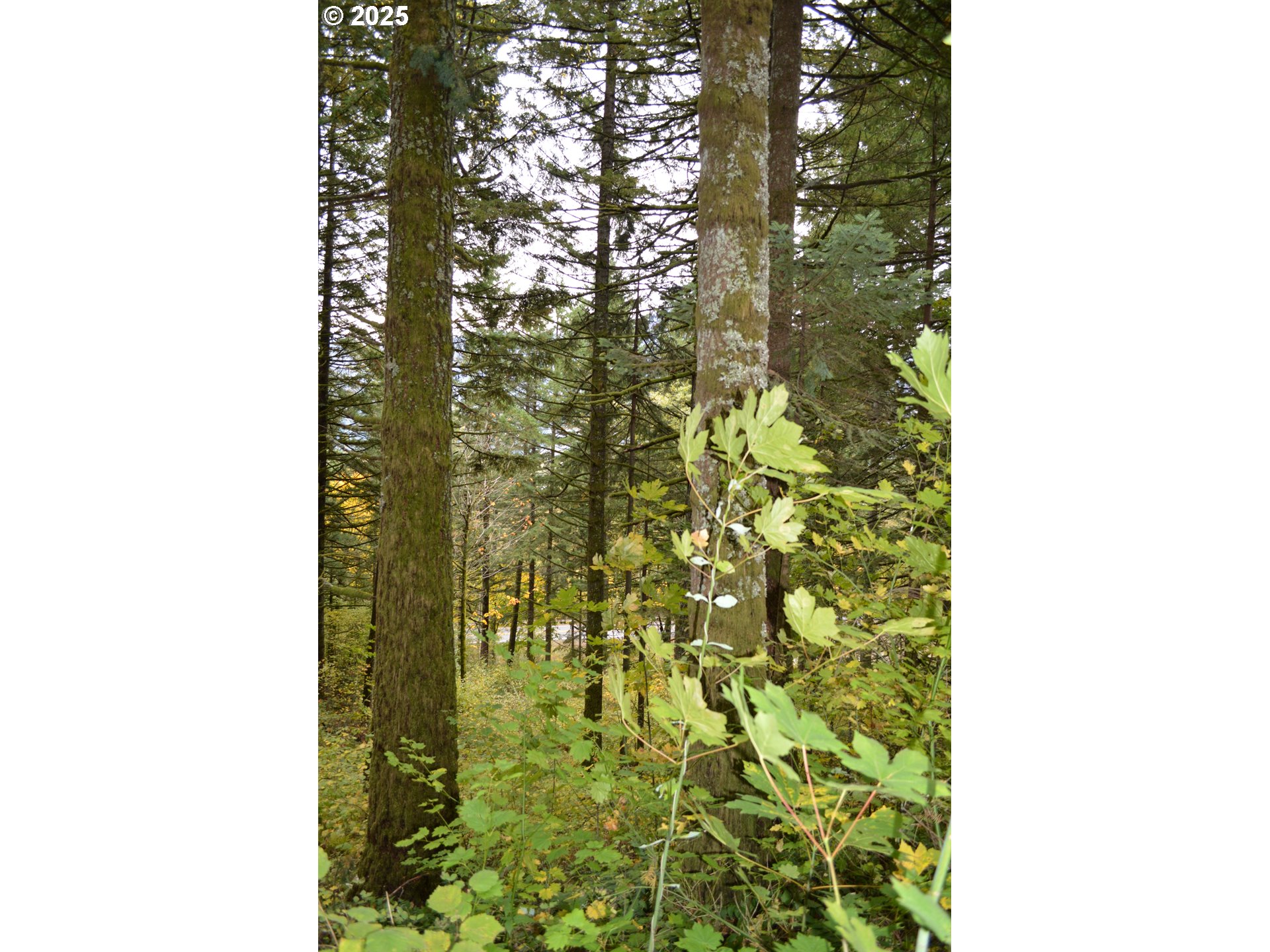 Warren Road, Unit 4 North Bonneville, WA 98639 - Photo 14 of 27 a picture of a door of the house
