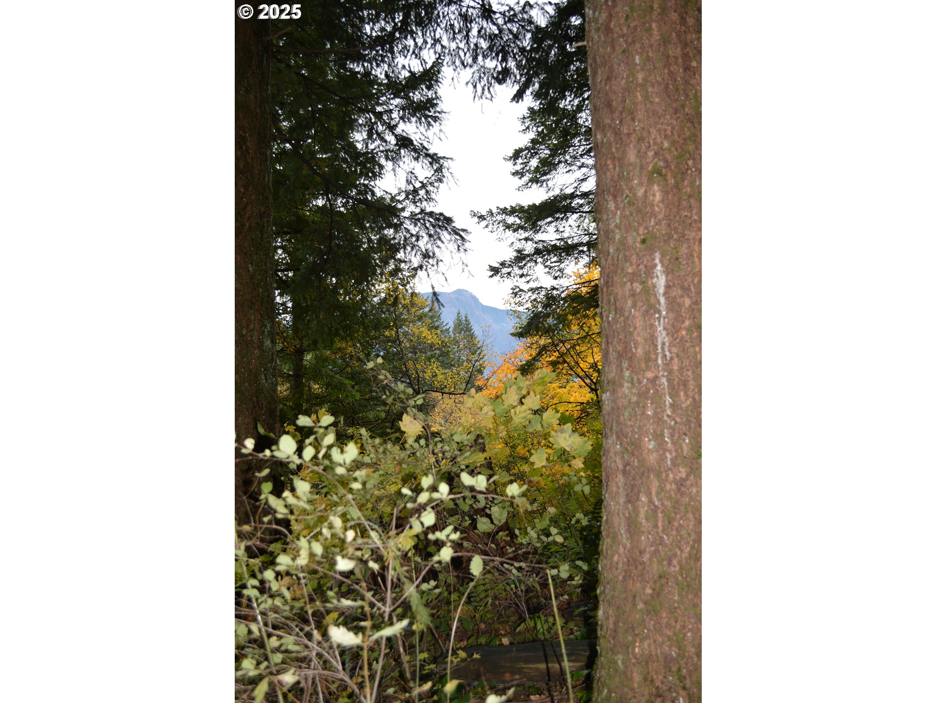 Warren Road, Unit 4 North Bonneville, WA 98639 - Photo 15 of 27 a picture of a door of a house