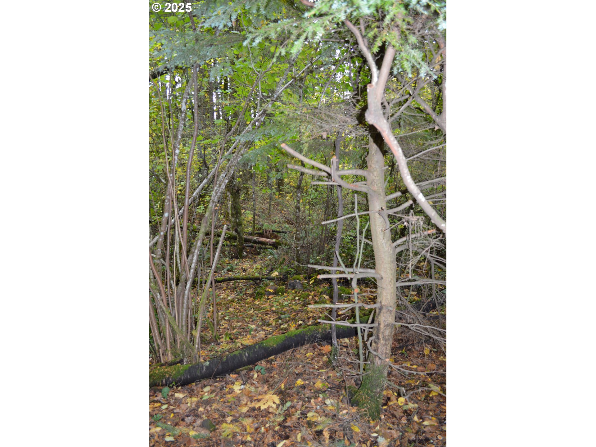Warren Road, Unit 4 North Bonneville, WA 98639 - Photo 18 of 27 a bathroom with a shower