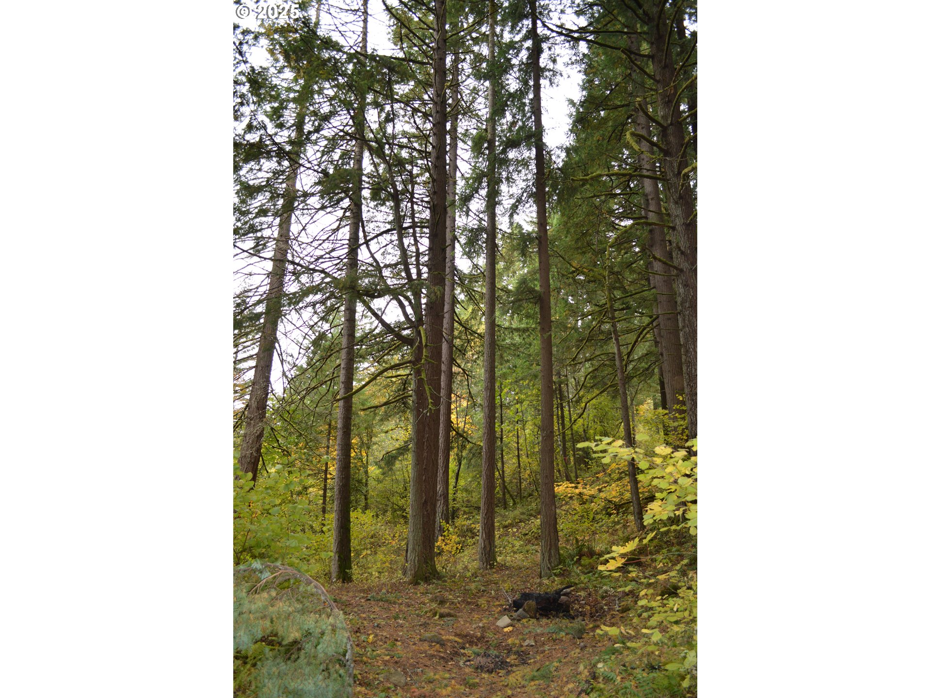 Warren Road, Unit 4 North Bonneville, WA 98639 - Photo 20 of 27 a bathroom with a sink and shower
