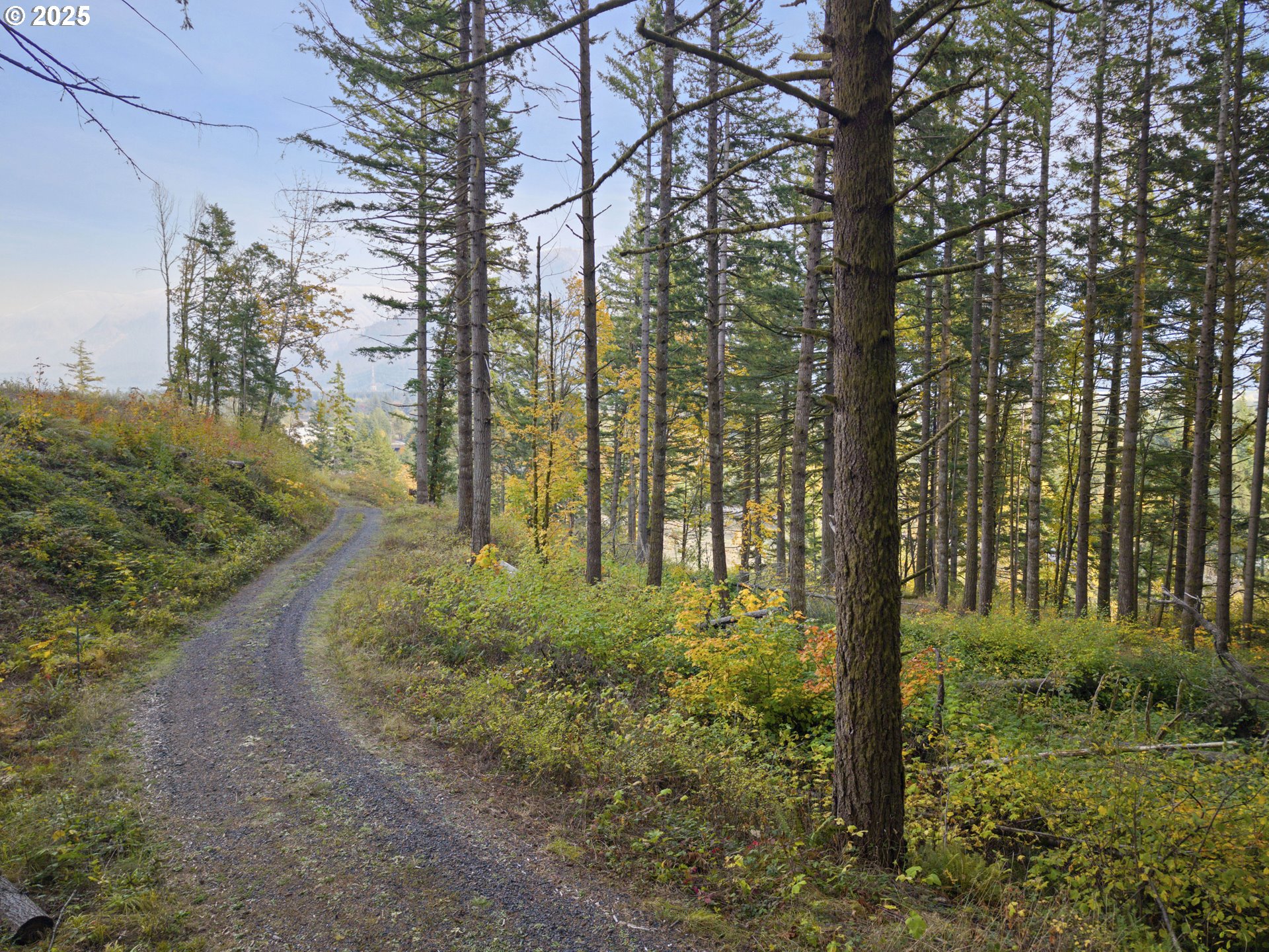 Warren Road, Unit 4 North Bonneville, WA 98639 - Photo 2 of 27 a view of outdoor space and garden