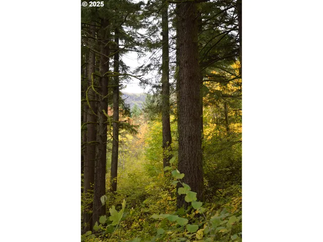 a picture of a door of the house