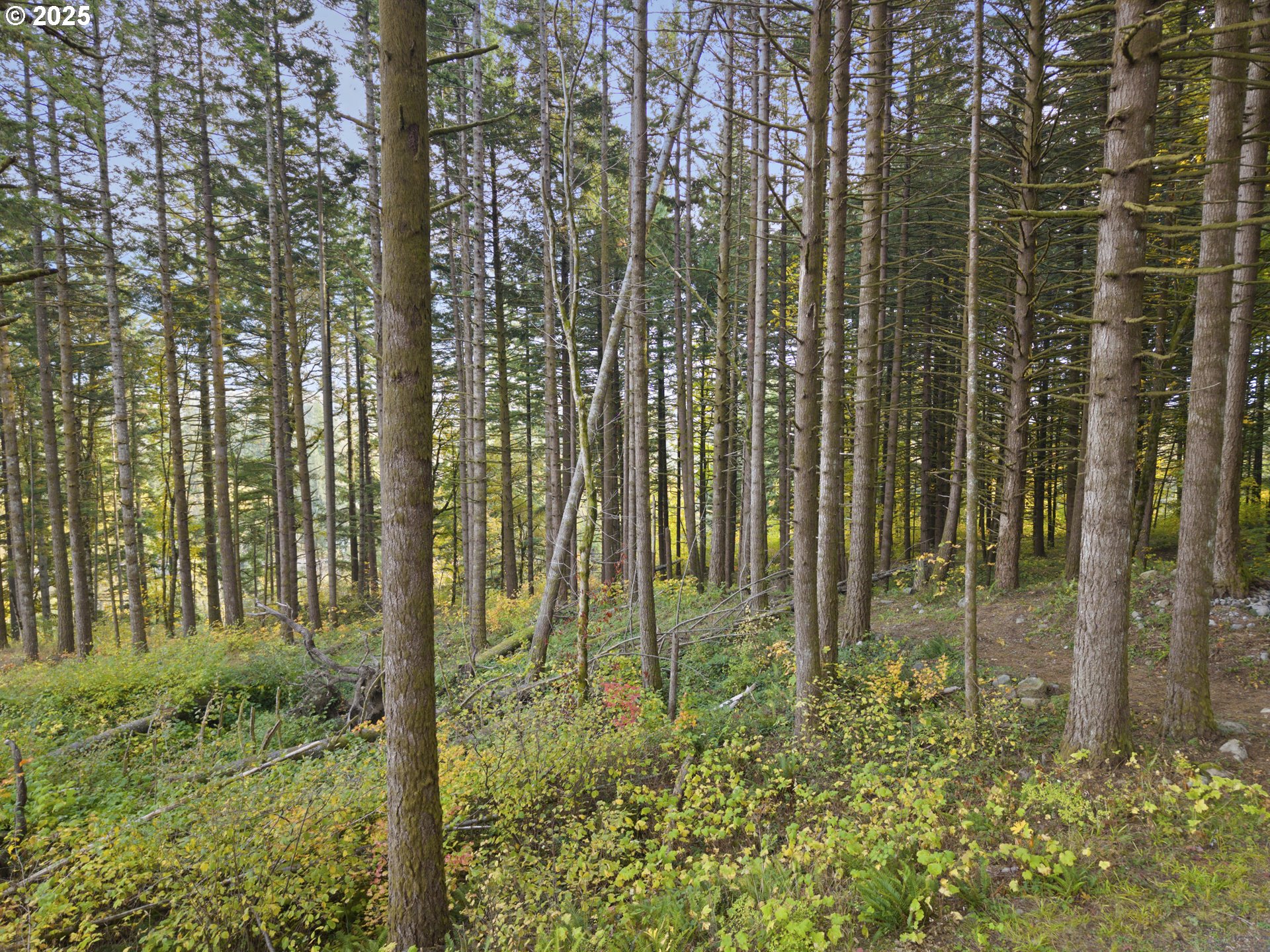Warren Road, Unit 4 North Bonneville, WA 98639 - Photo 3 of 27 a view of outdoor space and garden