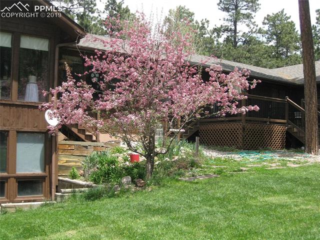 Lush lawn in the spring & summer