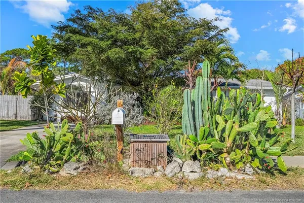 a view of a yard with plants and trees