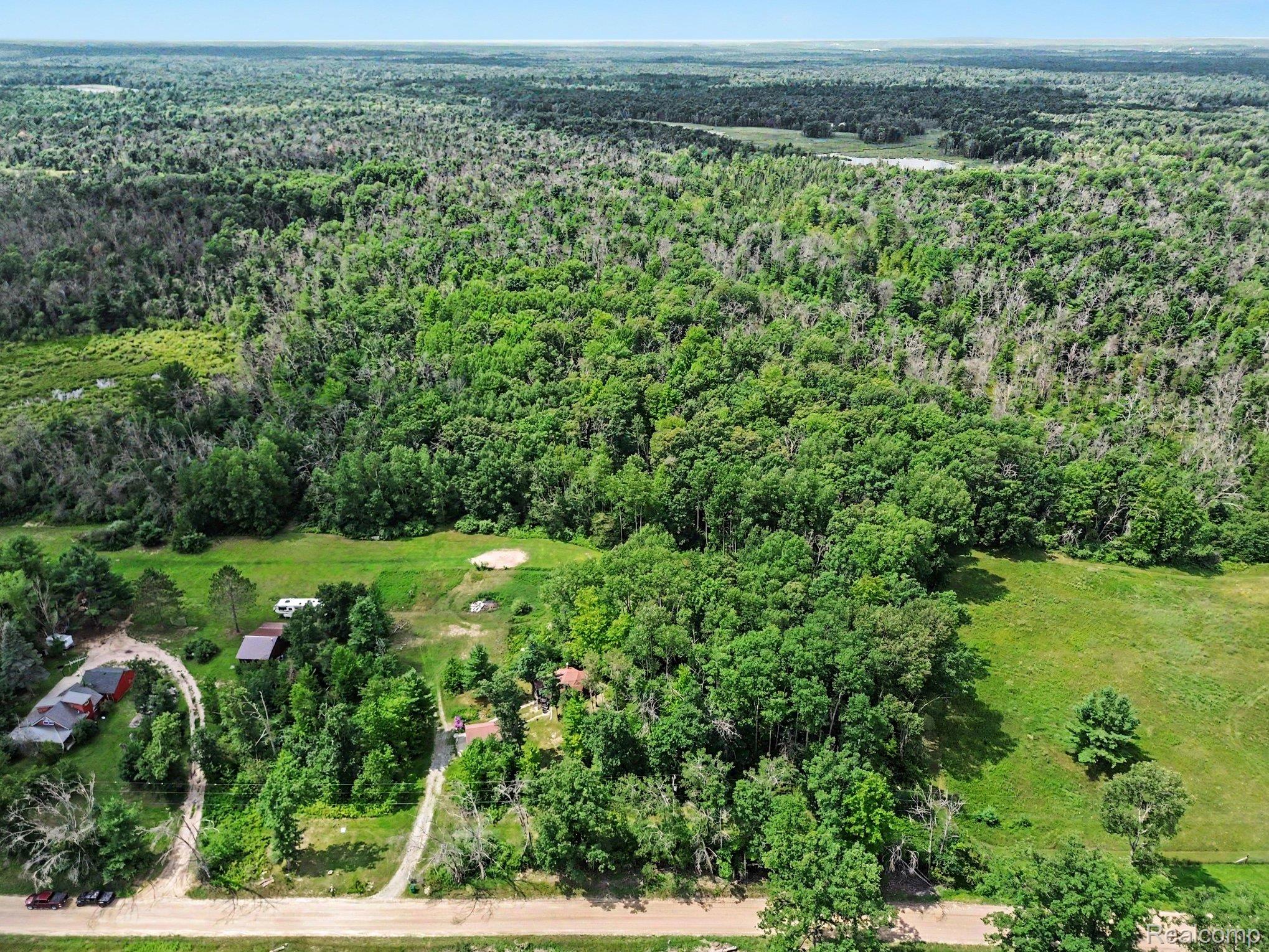 3700 Elbow Lake Road Prescott, MI 48756 - Photo 26 of 29 Expansive wooded acreage with cleared grassy areas and a gravel drive