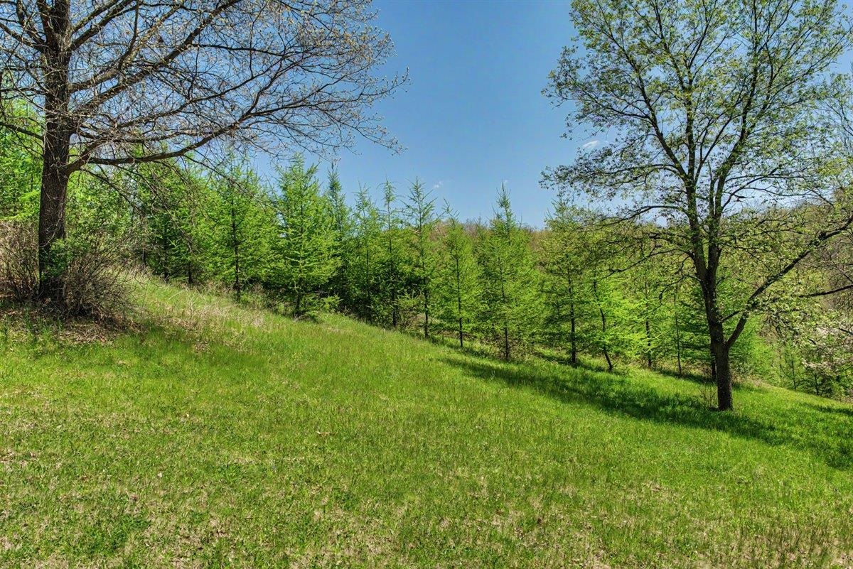 70-ac Harris Road La Farge, WI 54639 - Photo 6 of 67 Gallery Image 6