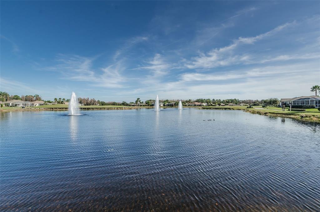 11917 Hadleigh Way Trinity, FL 34655 - Photo 82 of 84 a view of a lake with houses in the background