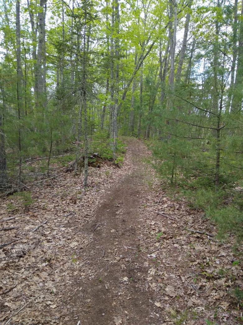 8 South Clary Road Jefferson, ME 04348 - Photo 31 of 32 AFE3E663-EA01-4069-817A-EFE7654F4F40