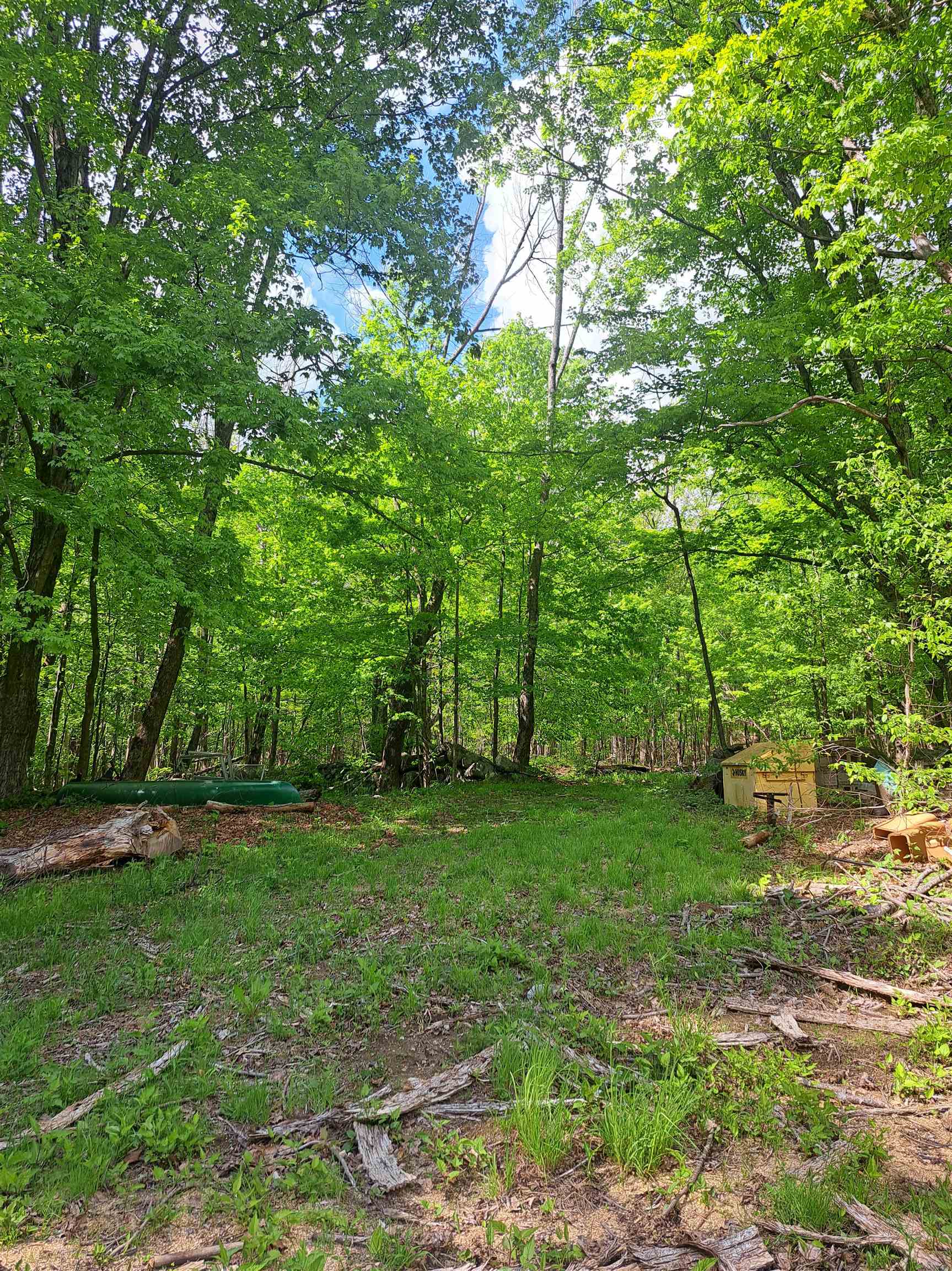 81 Hart Farm Road Deering, NH 03244 - Photo 3 of 17