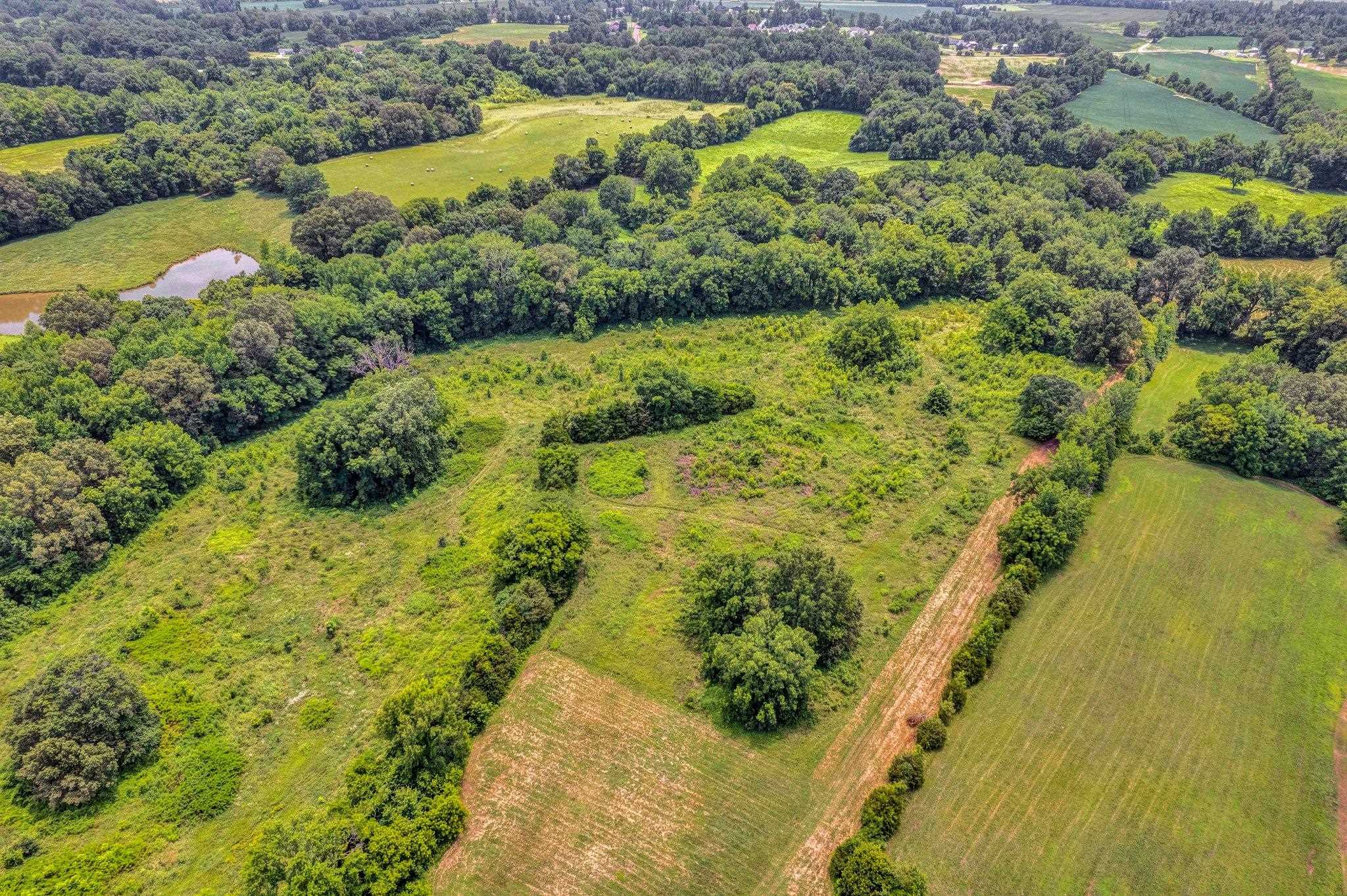 0 Holly Grove Road Covington, TN 38019 - Photo 4 of 11 a view of a lake with a yard