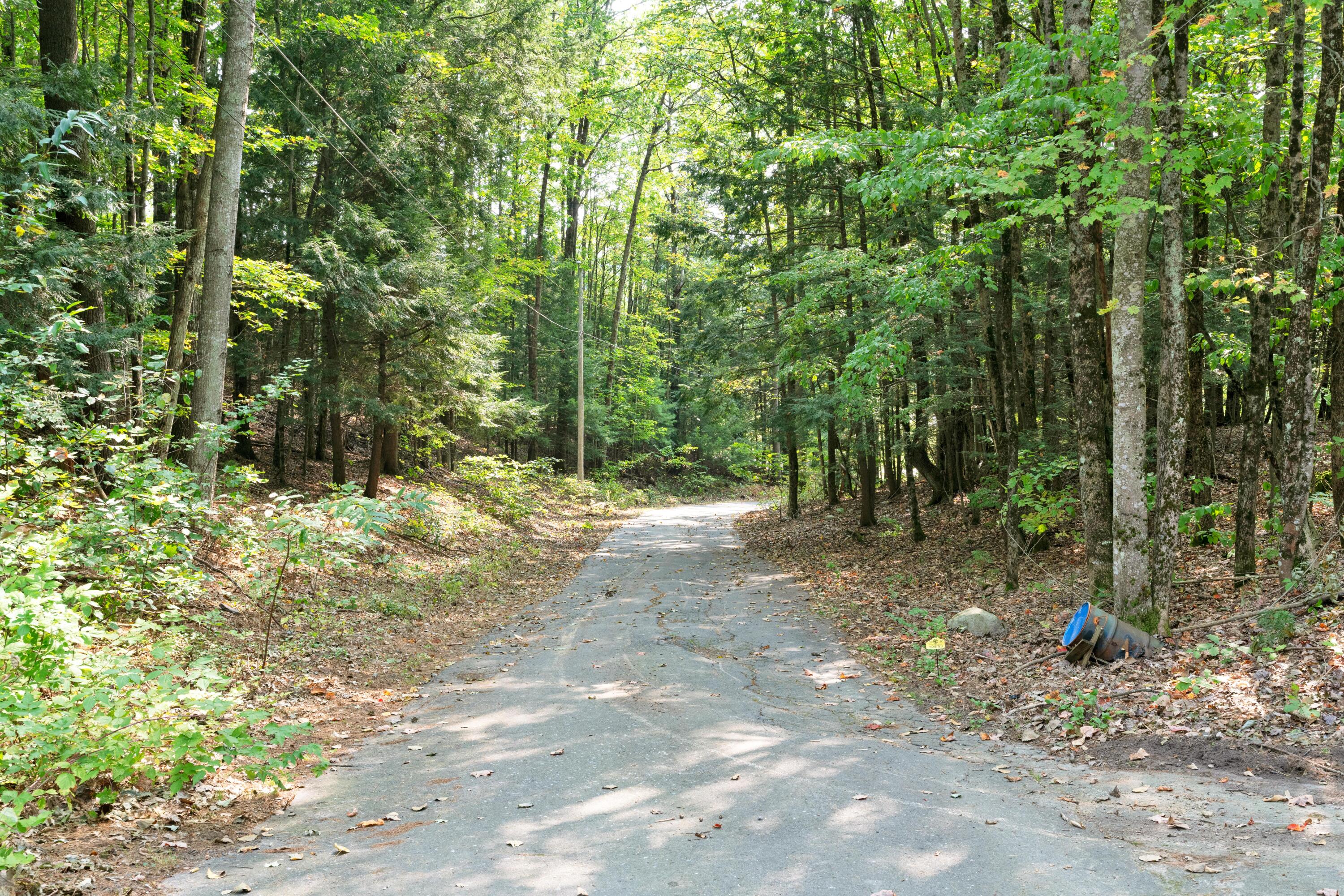 101 Plummer Road Gorham, ME 04038 - Photo 14 of 38 _dsc1133
