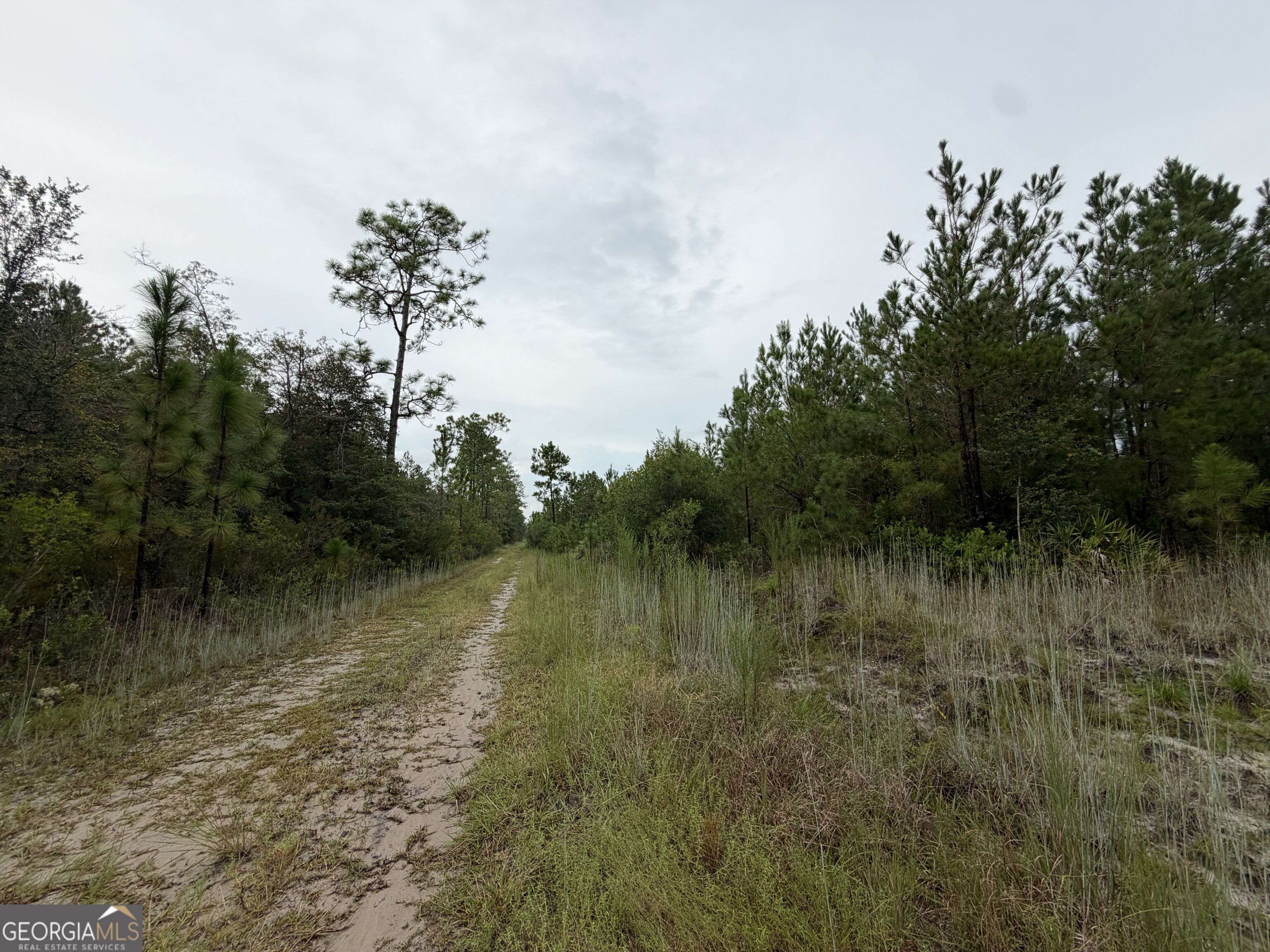 0 South River Road Millwood, GA 31503 - Photo 23 of 53 Gallery Image 23