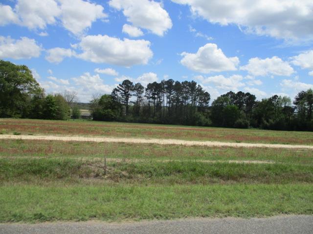 Lot 2 McCord Road Dothan, AL 36301 - Photo 1 of 1