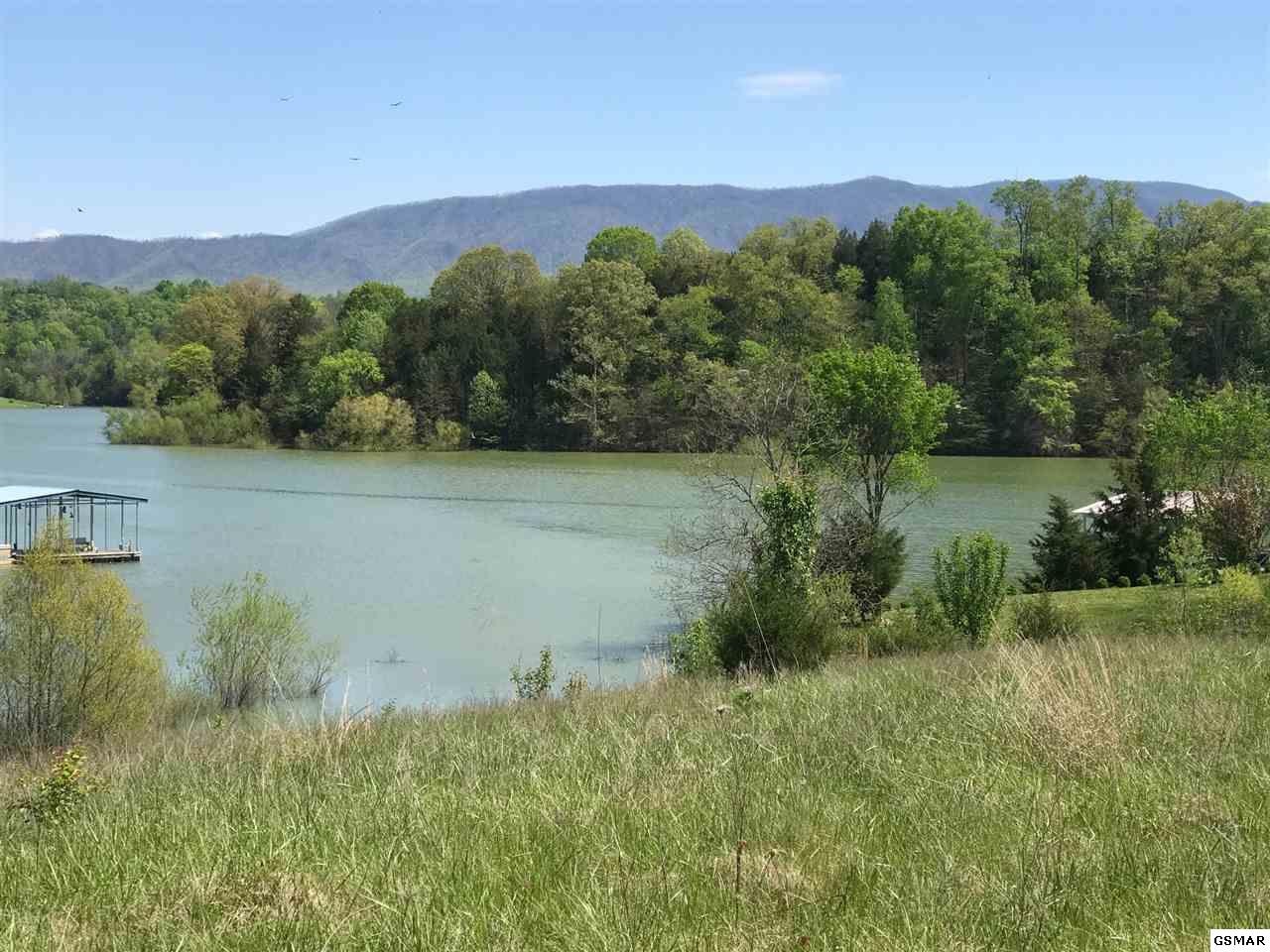 1925 Indian Creek Road Dandridge, TN 37725 - Photo 2 of 6