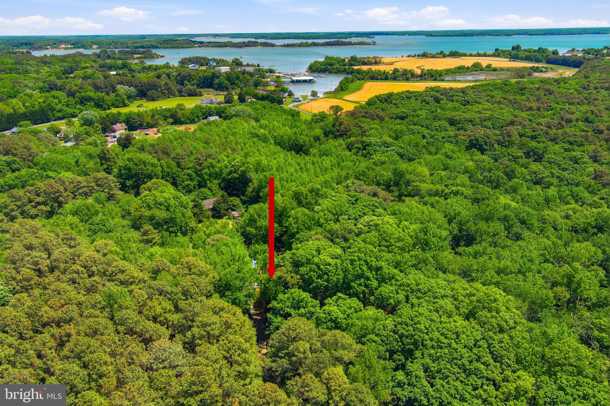 22300 Frazier Road Rock Hall, MD 21661 - Photo 2 of 38 a view of a field with an ocean and trees