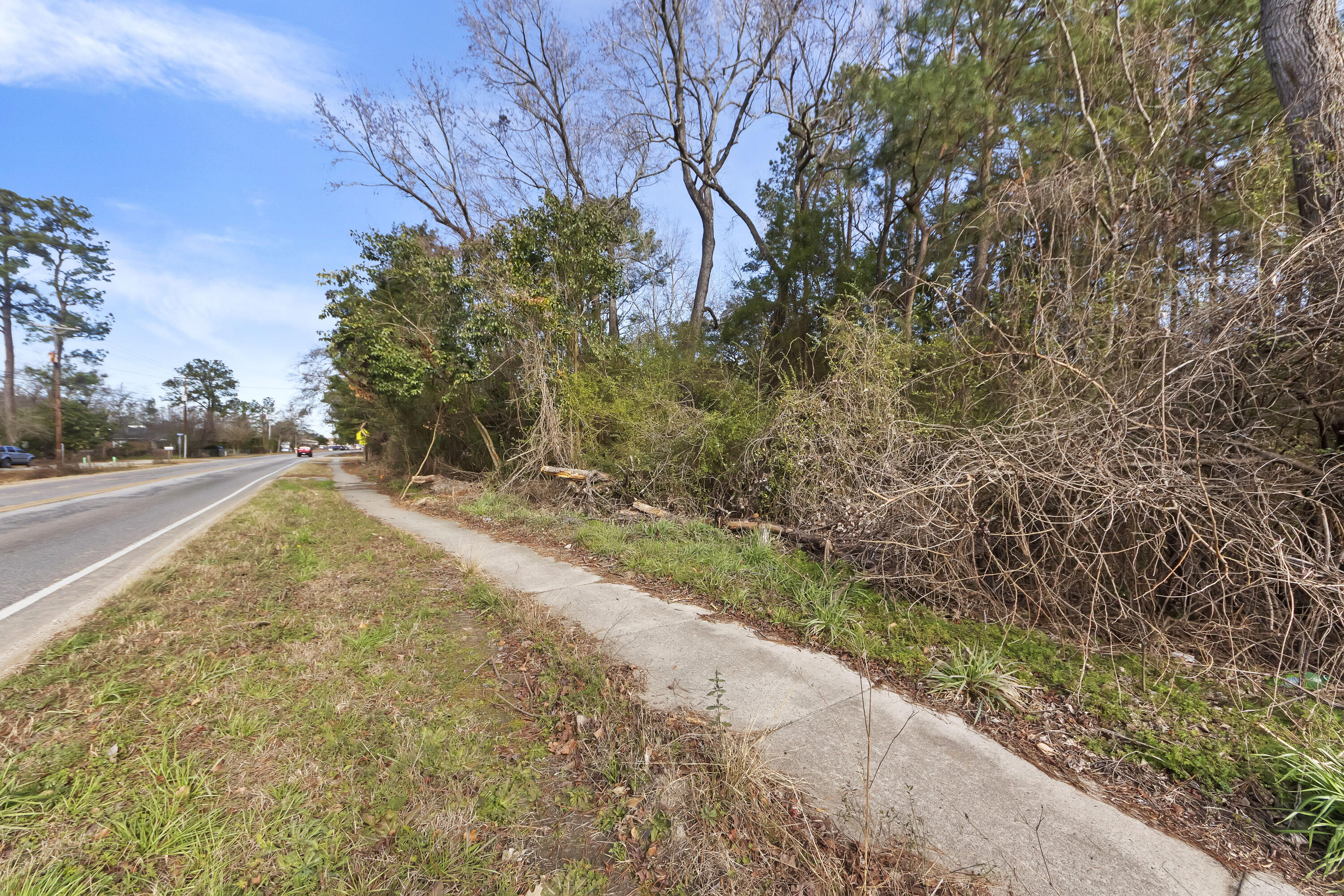 810 Orangeburg Road Summerville, SC 29483 - Photo 23 of 26 _01A4496